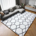ONASAR 5x7 Area Rugs for Living Room Bedroom, Fluffy White and Grey Throw Rug by ONASAR