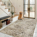 4x6 Area Rugs Washable Living Room Rug-No Slip Soft Carpets Modern Abstract by Unknown