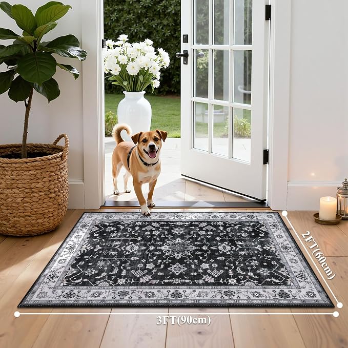 HEBE Washable Aera Rug 2'x 3' Non Slip Door Mat Indoor Entrance, Low Pile - Image 2