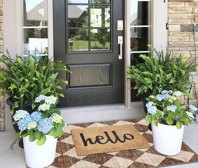 Checkered Entryway Rug - Image 8