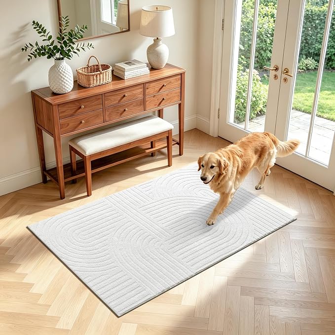 Pauwer 3x5 Washable Area Rugs for Living Room Modern White Solid Color Soft by Pauwer