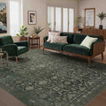 Rugxara 5x7 Area Rugs for Living Room Bedroom, Washable Rug, Non Slip & Low by Rugxara