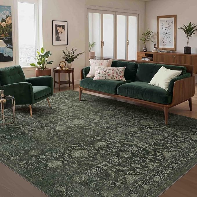 Rugxara 5x7 Area Rugs for Living Room Bedroom, Washable Rug, Non Slip & Low by Rugxara
