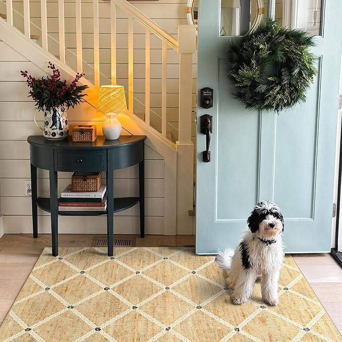 Woven-Look 3x5 Entryway Rug - Image 4