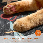 LIANLAM 8x10 Cat Lover's Area Rug, Washable Large Rug - Image 8