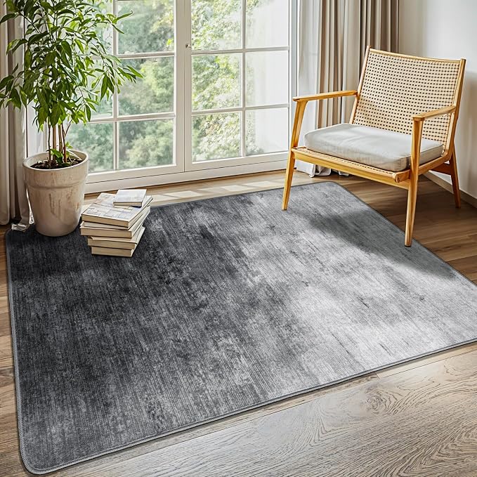 LIANLAM Washable 3x5 Entry Rugs by LIANLAM