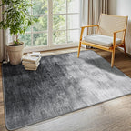 LIANLAM Washable 3x5 Entry Rugs by LIANLAM
