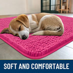 Smiry Dog Door Mat for Muddy Paws 40x32, Absorbent Dirt Trapper, Non-Slip - Image 2