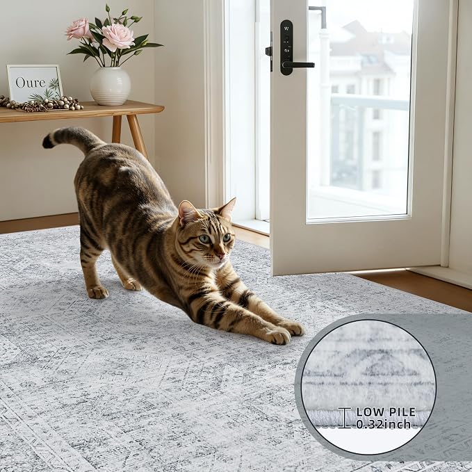 5x7 Area Rugs for Living Room: Vintage Boho Neutral Washable Rug Indoor Soft - Image 7
