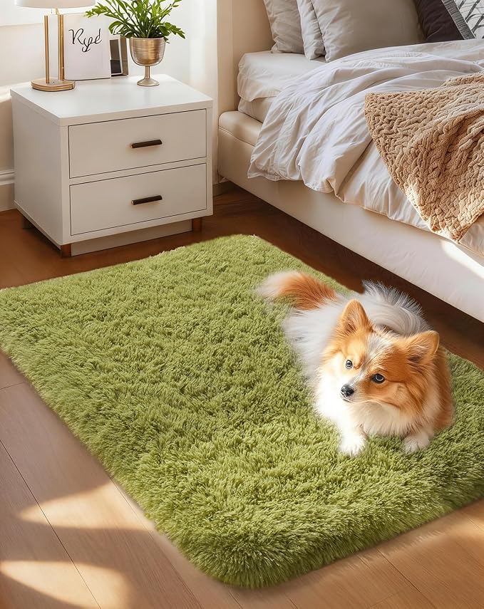 Ophanie Small Rug Washable Non Slip Throw Bedside Area Rugs, Fluffy Soft Green by Ophanie
