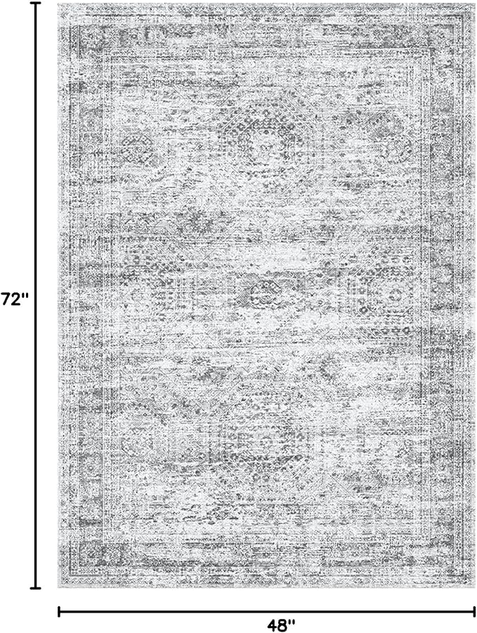 Soalmost Area Rugs 4x6 for Living Room, Vintage Washable Rugs for Dining Room - Image 2