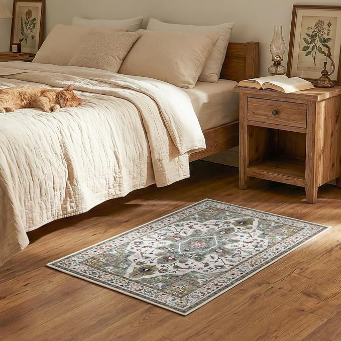 HOOBRO 2 x 3 Area Rugs Washable, Small Rugs - Image 4