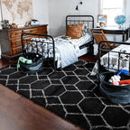 ONASAR Area Rugs for Living Room Bedroom, 5x8 Fluffy Black and White Rug - Image 8