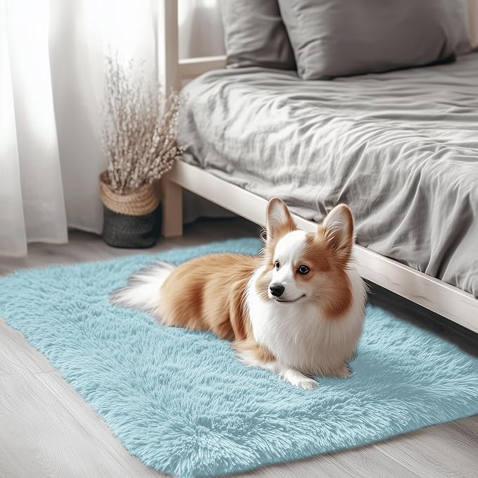 OLANLY 2x3 Machine Washable Small Bedside Rug, Soft Fluffy Shaggy Entryway by OLANLY
