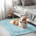 OLANLY 2x3 Machine Washable Small Bedside Rug, Soft Fluffy Shaggy Entryway by OLANLY