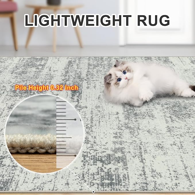 Area Rugs Living Room Rug - Image 6