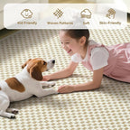 YDKGL 2x3 ft Indoor Door Mat Entryway Rug Non Slip Boho Woven Washable Small - Image 4