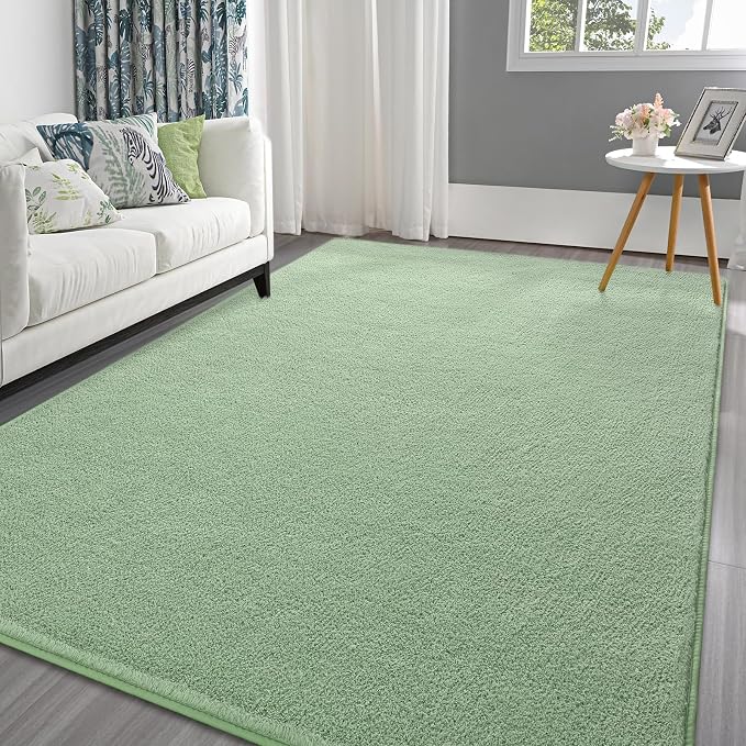 Pettop 4x6 ft Light Green Area Rugs by Pettop