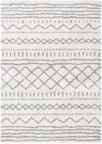 SAFAVIEH Area Rug 9x12 - Image 3