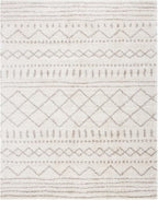 SAFAVIEH Area Rug 10x14 - Image 3
