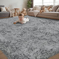 4x6 Area Rug for Living Room:Ultra Soft Fluffy Shag Light Grey Rugs, Large by Unknown