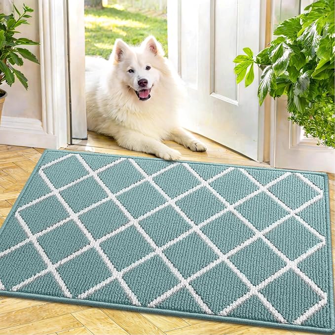 Finchitty Indoor Door Mat, Dirt Resistant and Absorbent, Low-Profile, Washable - Image 6