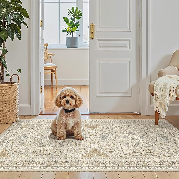 Madane Washable Area Rug 2x4, Small Entryway Rug Non-Slip Vintage Door Mat - Image 4