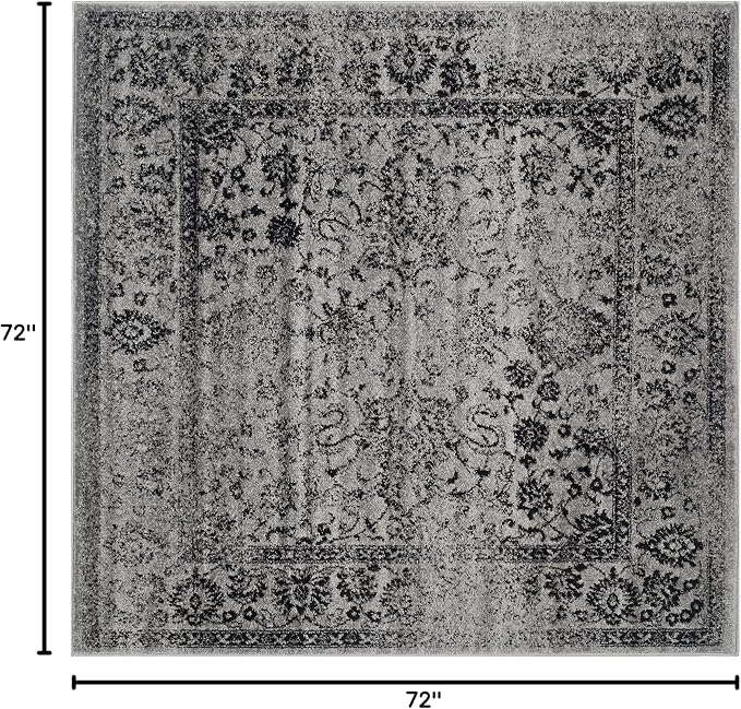SAFAVIEH Adirondack Collection Area Rug - Image 2