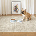 Soalmost 3x4 Rug, Small Area Rug by Soalmost