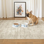 Soalmost 3x4 Rug, Small Area Rug by Soalmost