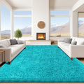 9x12 Teal Area Rugs for Living Room, Large Fluffy Shag Rug for Bedroom Boys by Unknown