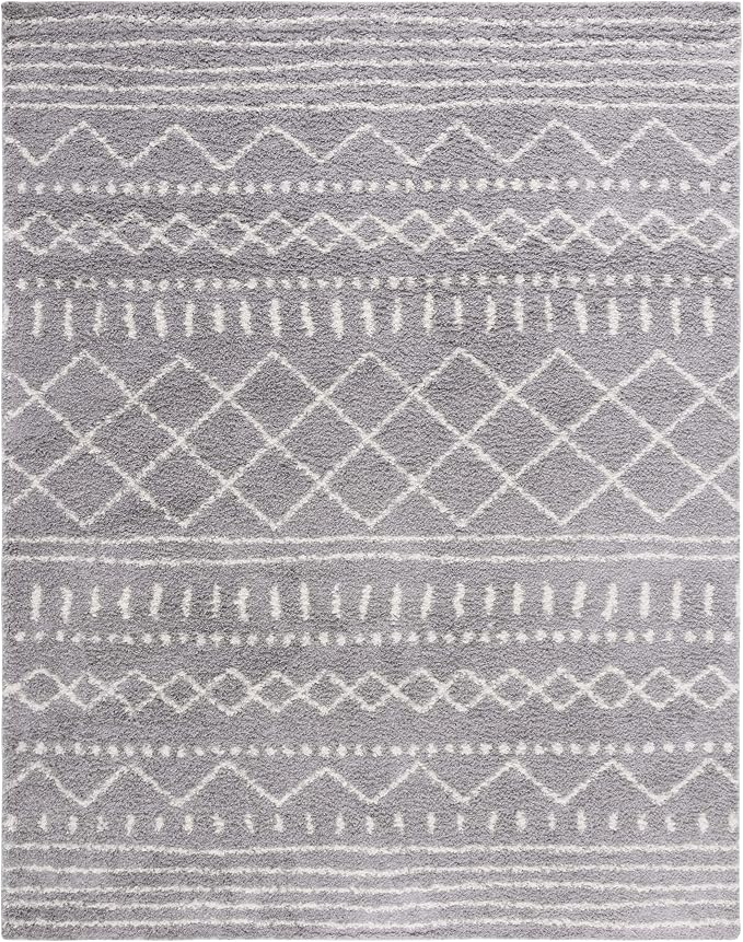 SAFAVIEH Area Rug 10x14 - Image 3