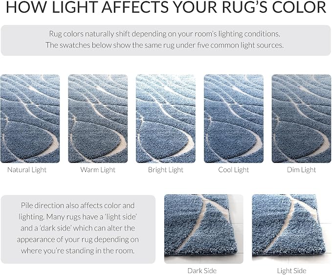 SAFAVIEH Florida Shag Collection Accent Rug - Image 9