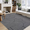 ROYHOME Washable Rug 5x7 Area Rugs by ROYHOME