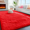 PAGISOFE Soft Modern Red Area Rug, 4x6 Feet, Shaggy Indoor Rug by PAGISOFE