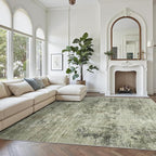 Soalmost Abstract Rug 8x10 Large Living Room Neutral Modern Washable Area Rugs - Image 8