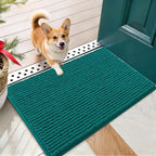 OLANLY Dog Door Mat for Muddy Paws 24x16, Ultra Absorbent Chenille Mud Doormat by OLANLY