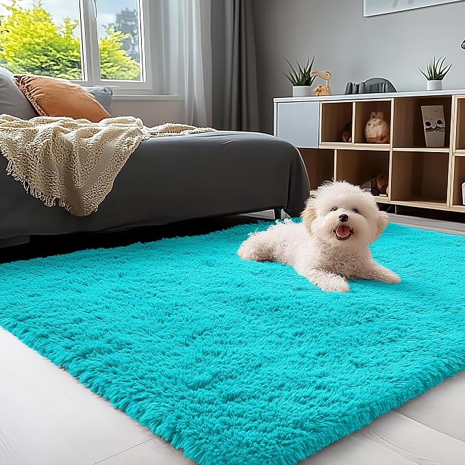 OLANLY 3x5 Machine Washable Small Bedside Rug, Soft Fluffy Shaggy Rugs by OLANLY