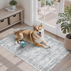 Soalmost 2x3 Washable Rugs for Kitchen, Powder Room Small Area Rug Non-Slip by Soalmost