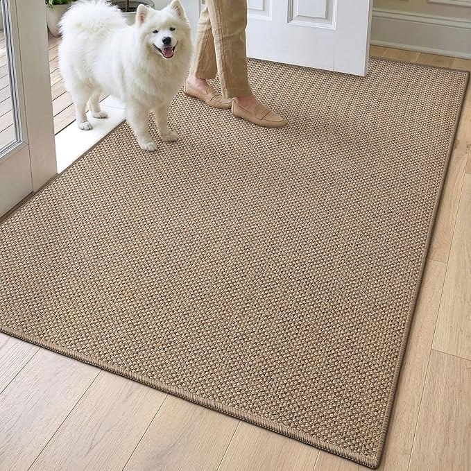 DEXI Ultra Thin Door Mat Indoor Entrance 32x48, Non Slip Rubber Backed Entryway by DEXI