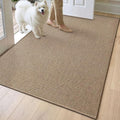 DEXI Ultra Thin Door Mat Indoor Entrance 32x48, Non Slip Rubber Backed Entryway by DEXI