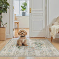 Madane Washable Area Rug 2x3, Small Entryway Rug Non-Slip Vintage Door Mat by Madane