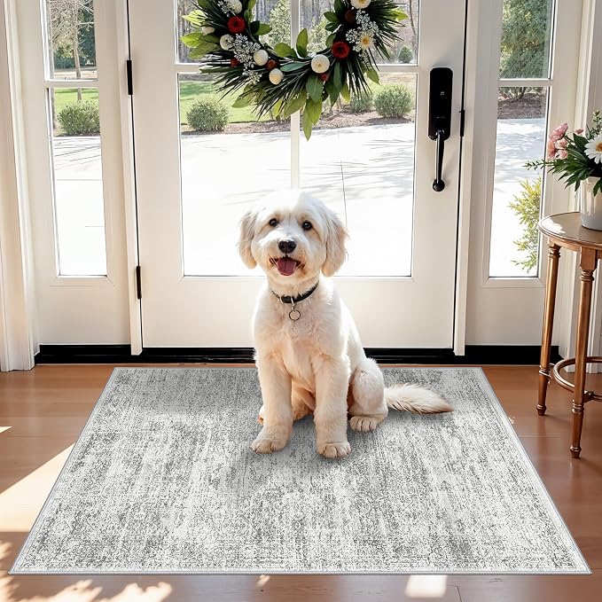 Washable Rug 2x3 for Entryway, Small Non-Slip Kitchen Throw Mat for Sink by BYYVOORugsforYourHome