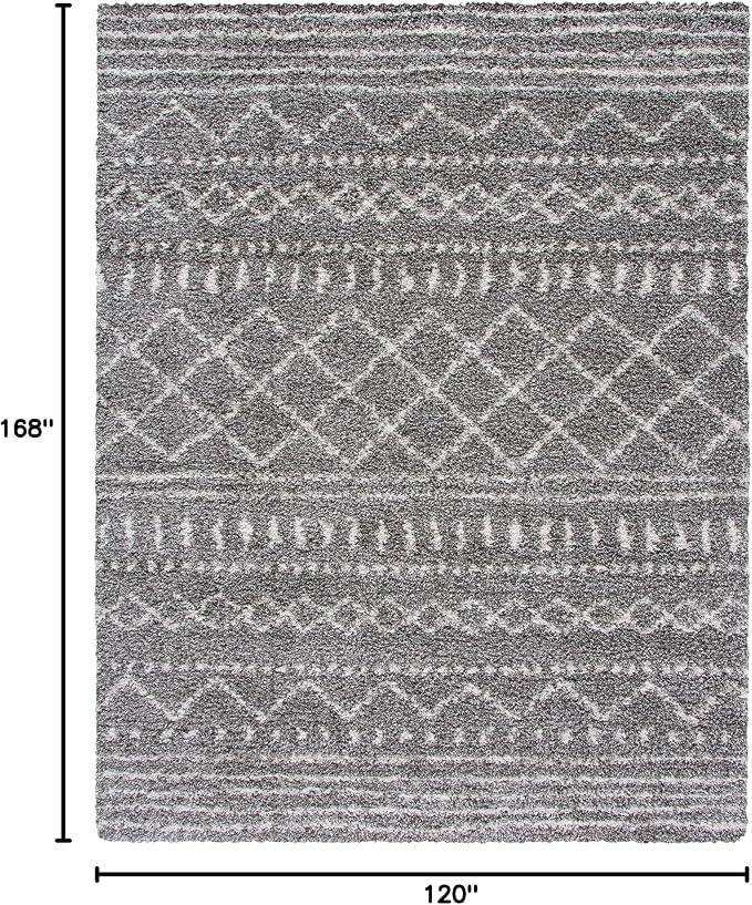 SAFAVIEH Area Rug 10x14 - Image 2