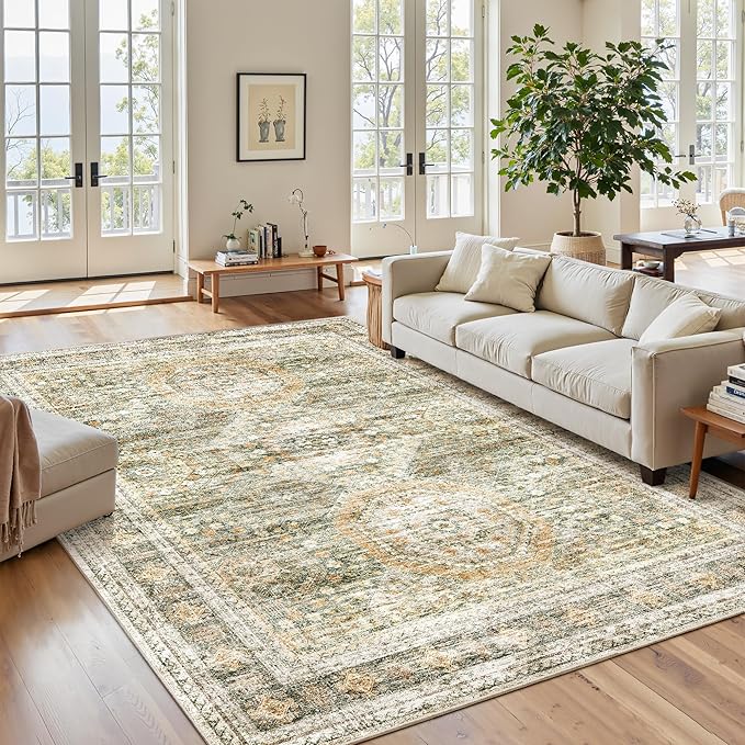 Soalmost 6x9 Area Rug for Living Room Washable 6x9 Non-Slip Modern Rugs for by Soalmost