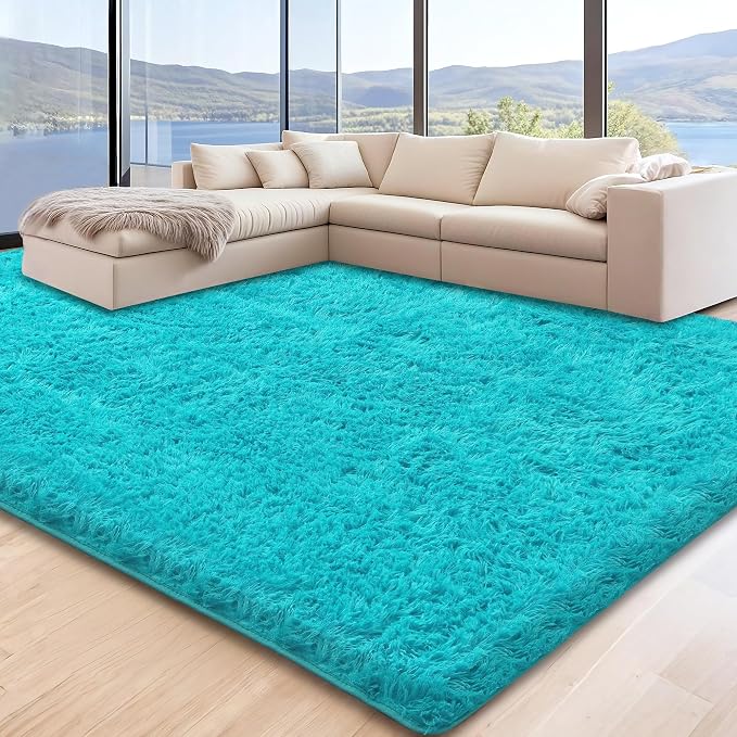 5x7 Teal Area Rugs for Living Room, Fluffy Shag Rug for Bedroom Boys Kids by Unknown