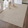 DEXI Ultra Thin Door Mat Indoor Entrance 35x56, Non Slip Rubber Backed Entryway by DEXI