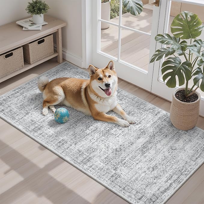 Soalmost 2x4 Washable Rugs for Kitchen, Powder Room Small Area Rug Non-Slip by Soalmost