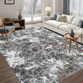 Washable Rug 6x9 Area Rugs: Soft Large Living Room Rug by Tosuoka