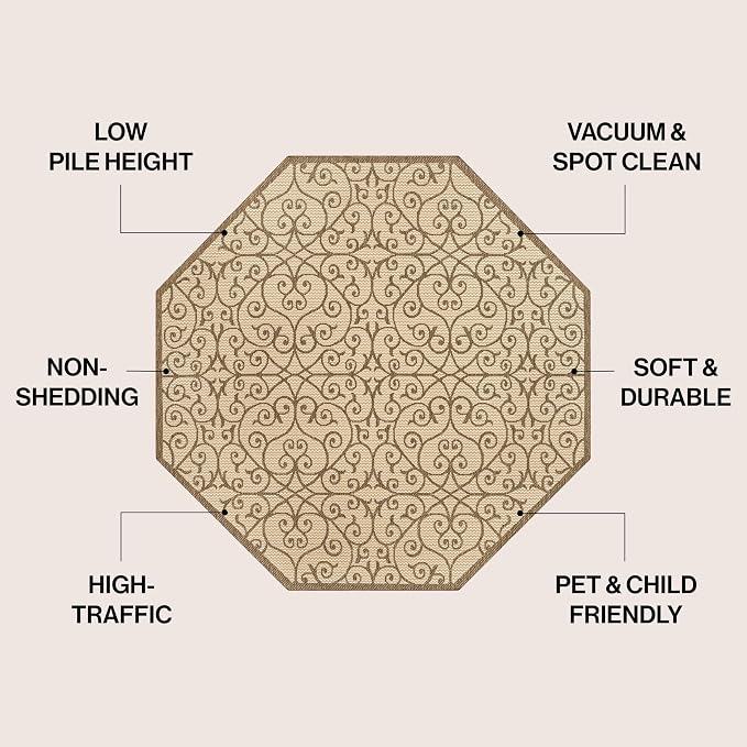 JONATHAN Y Vintage Filigree Indoor Outdoor Octagon Area Rug 8 Ft Beige/Brown - Image 2